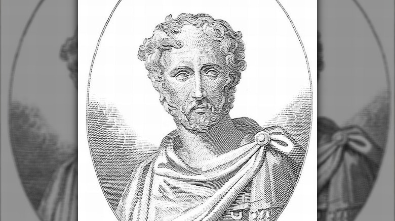 pliny the elder posing