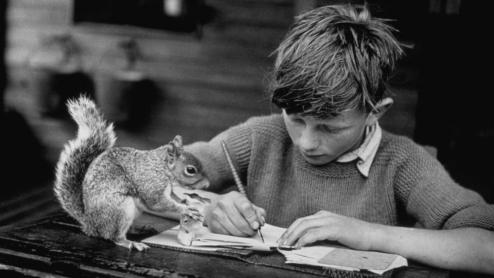 Boy and pet squirrel