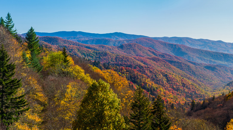 great smoky mountains