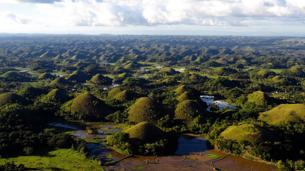 Chocolate Hills