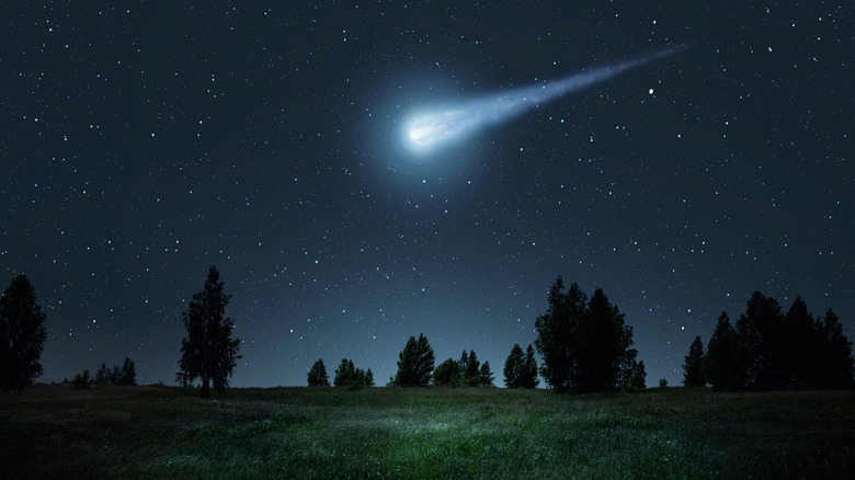 meteor field and trees