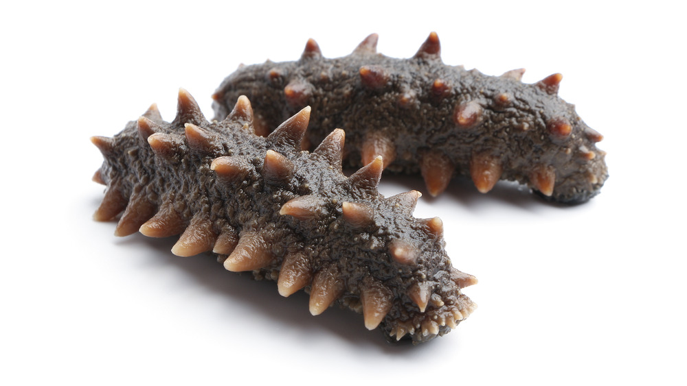 sea cucumbers on white background