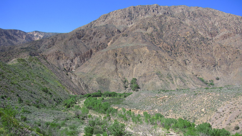 Sepse Hot Springs