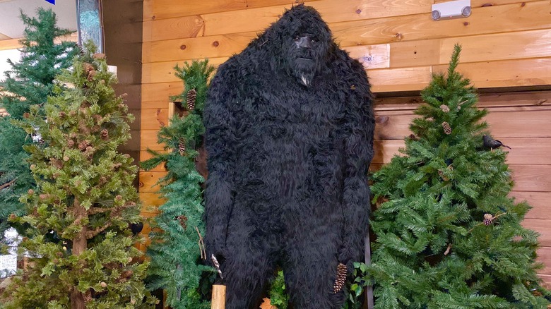 sasquatch museum georgia