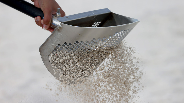 Hand holding sand sifter