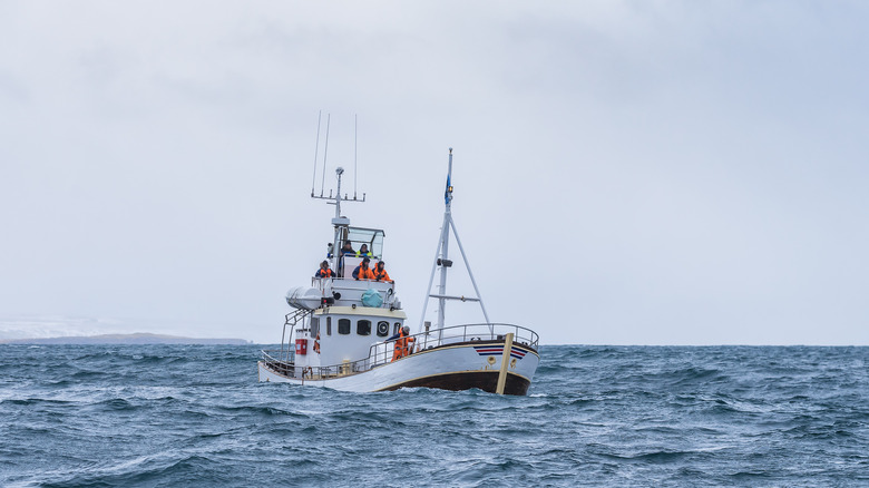 A fishing boat on an ocean