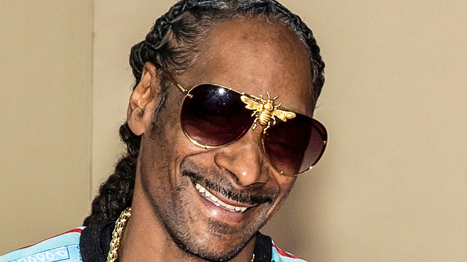 The Surprising Amount Of Money Snoop Dogg Pays His Professional Blunt ...