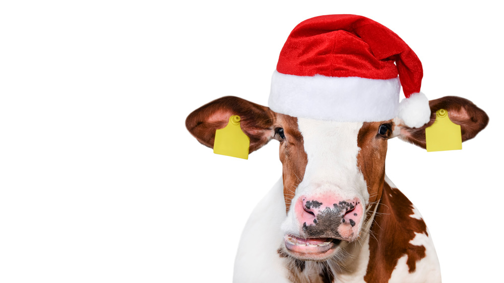 cow in a Santa hat