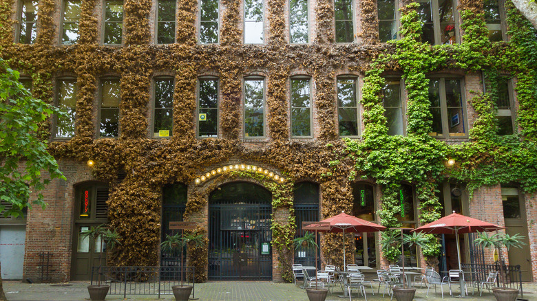 Brick building covered in vines 