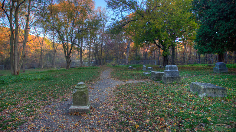 bachelor's grove cemetery