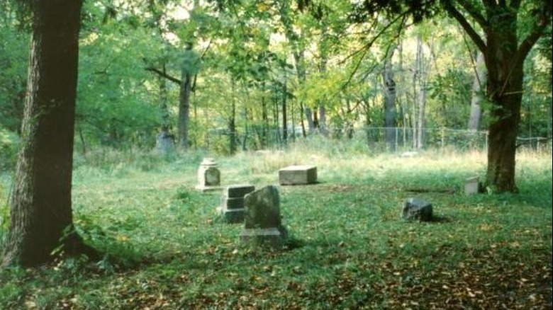 bachelor's grove cemetery