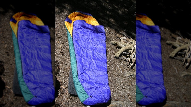 Sleeping bag