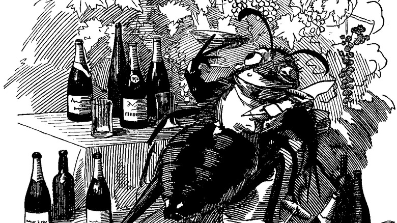 comic of phylloxera feasting on wine and cigars