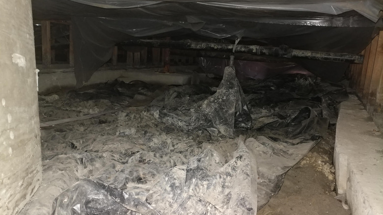 A dark crawl space under a house