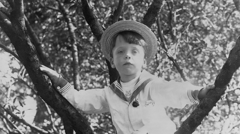 Young Quentin Roosevelt sits in tree