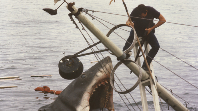 Roy Scheider fights off Jaws