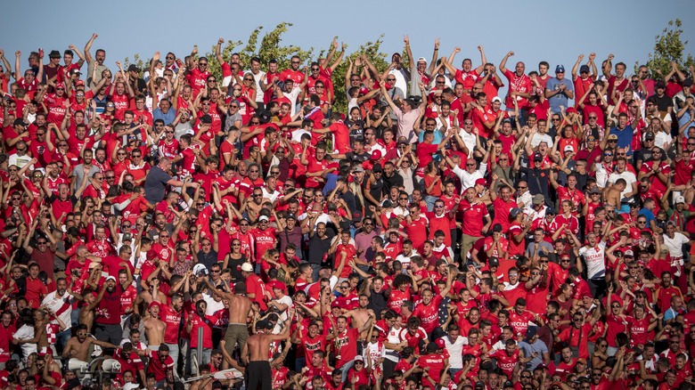  Nimes Olympique supporters