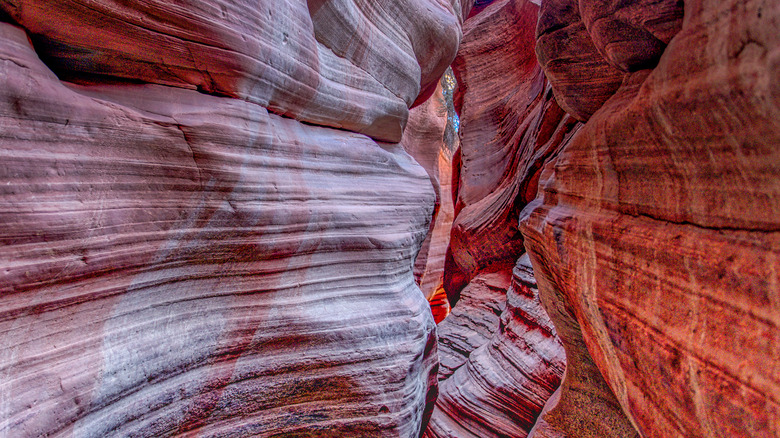 Zion National Park 