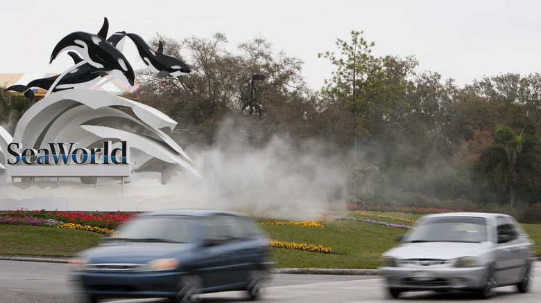 cars leaving seaworld