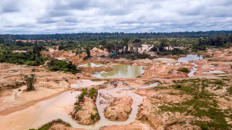 deforestation mining amazon Brazil