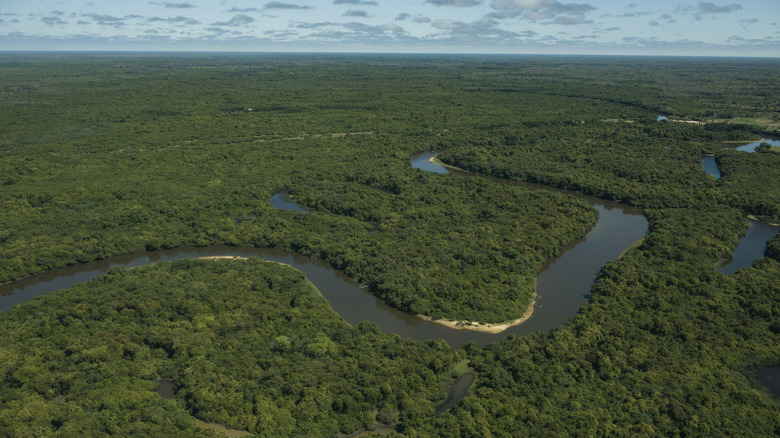 Aerial view river Matto grosso Brazil