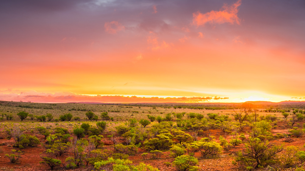 northern territory australia under pink and orange skies