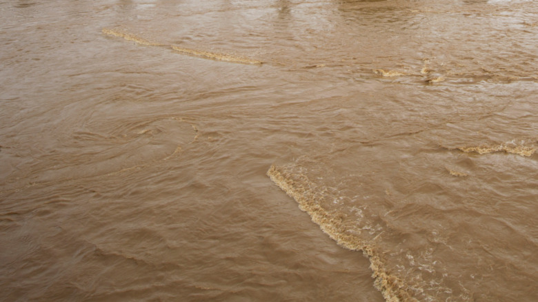 Kagera River corpses