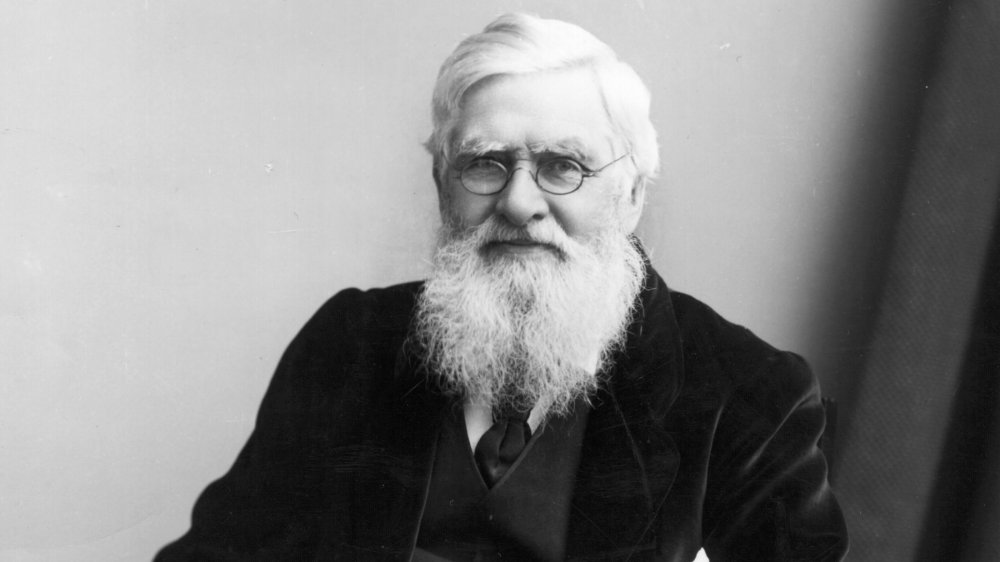 Alfred Russel Wallace