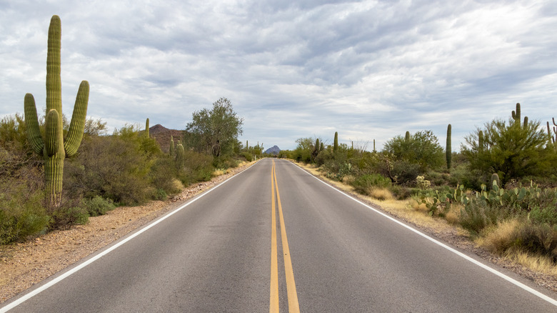 Desert highway