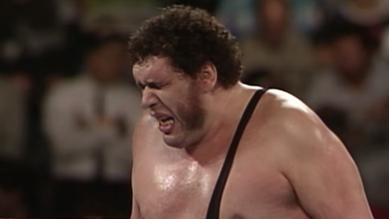 Andre the giant