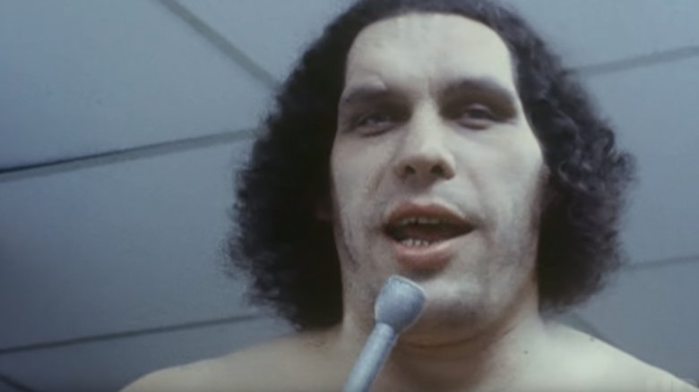 andre the giant