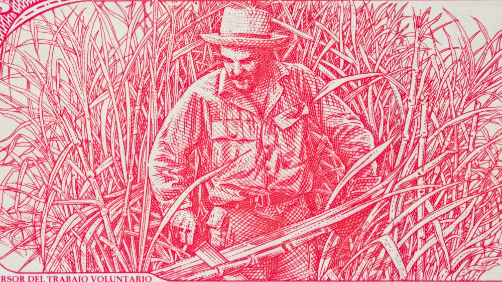 Che Guevara cutting sugar cane - bank note