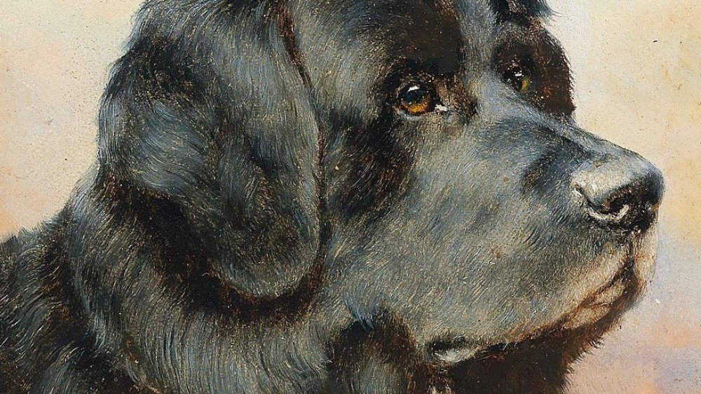 'A Newfoundland Dog' by Carl Reichert