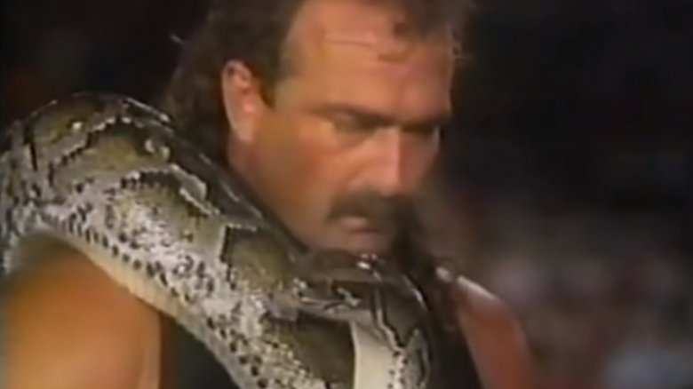 jake snake roberts wwe