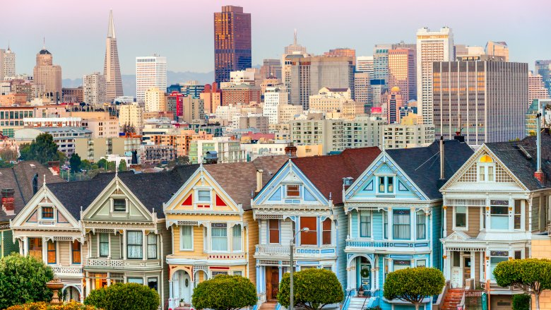 san francisco skyline painted ladies