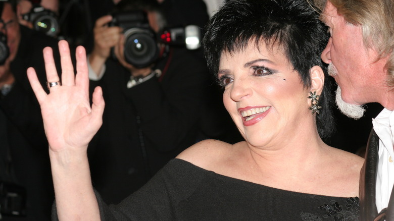 liza minnelli waving at paparazzi