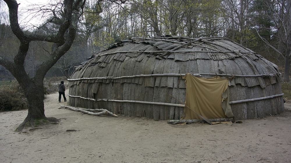 wampanoag wetu reconstruction in the forest