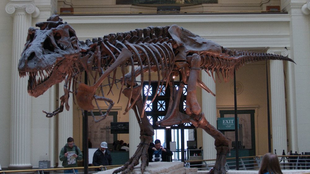 Sue the T-Rex and mural of Sue the T-Rex in the Field Museum