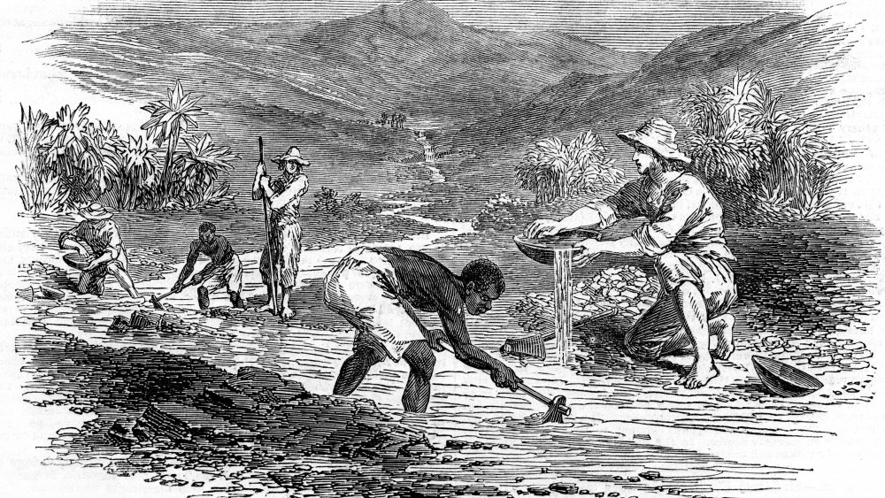 Panning for gold during the Californian Gold Rush of 1849. The discovery of gold in 1848 led to mass immigration into California, with over half a million people from all over the world pouring into the state in search of riches. From The Illustrated London News, 6 January 1849. 