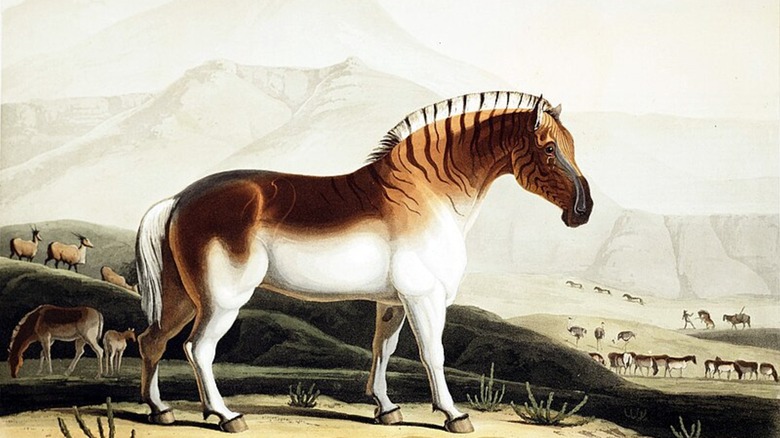 Illustration of quagga in African landscape with other wildlife