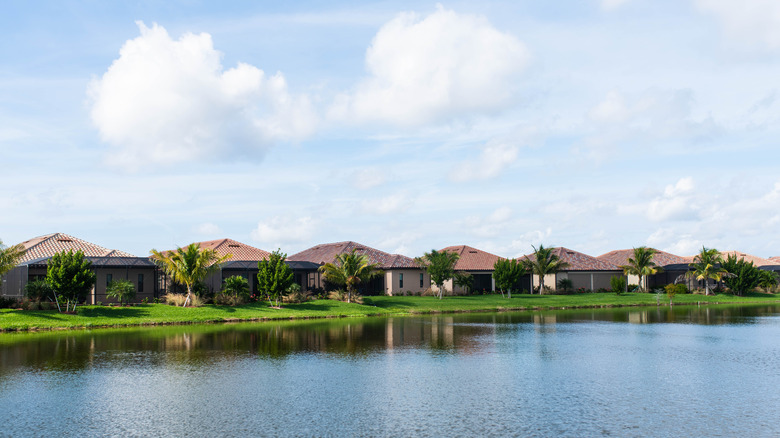 Florida pond, houses