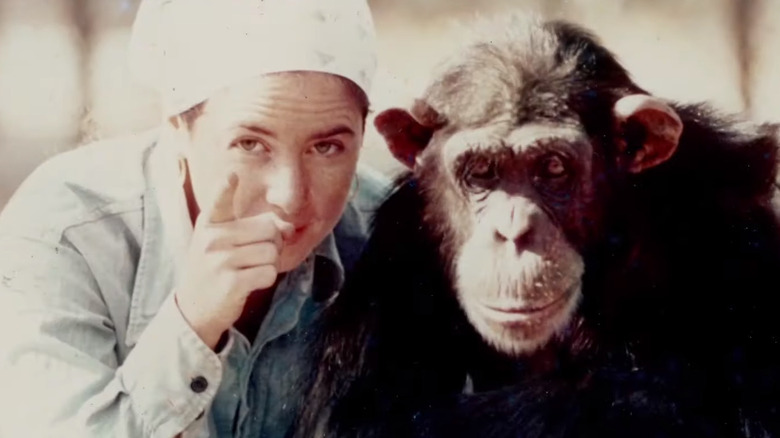 Janis Carter and Lucy the chimpanzee