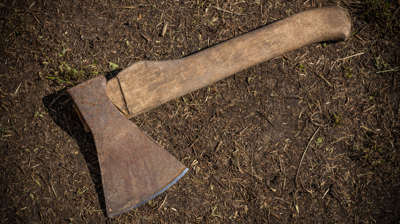 Discarded Axe