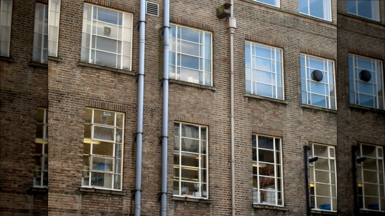 The rear of the east wing of the Medical School showing the location of the virology laboratory with the anatomy department above
