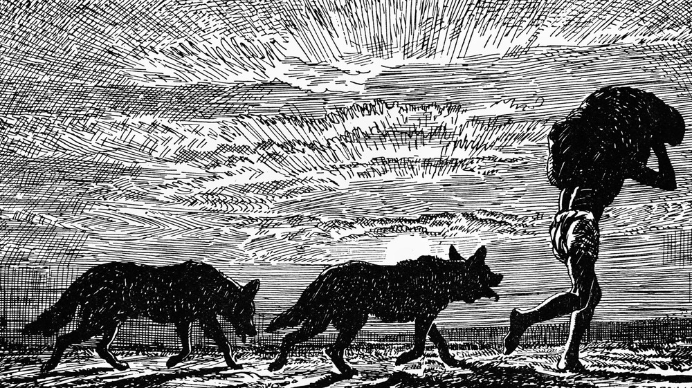 Boy with wolves