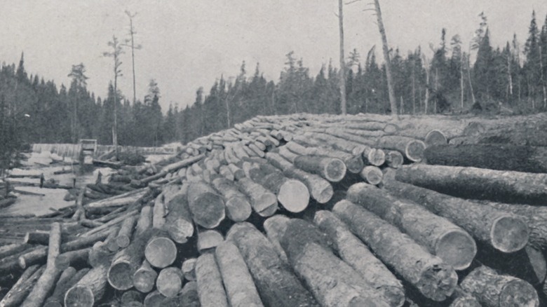 Monochrome photo of log piles