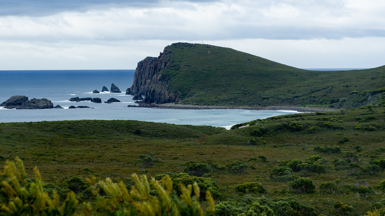 Bruny Island