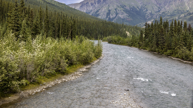 Teklanika River