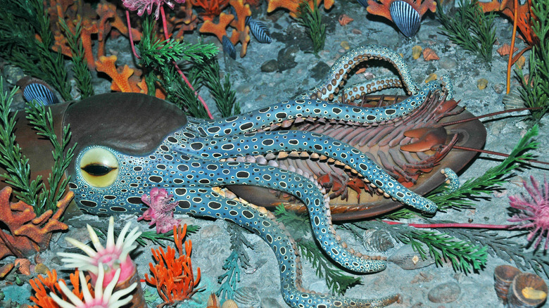 Diorama depicting Ordovician biodiversity on seafloor