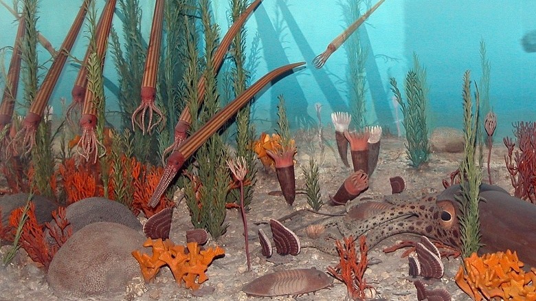 Museum diorama depicting Ordovician biodiversity